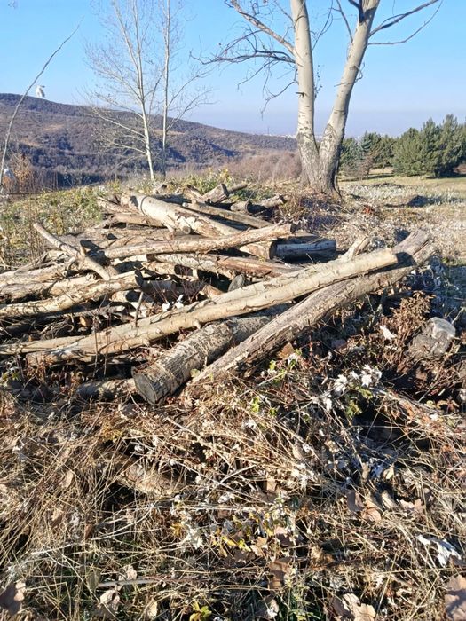 Дрова арзан багада