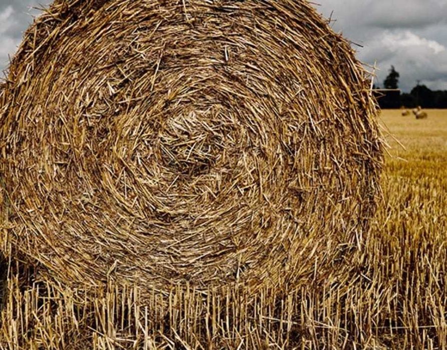 vand Baloti rotunzi de  paie