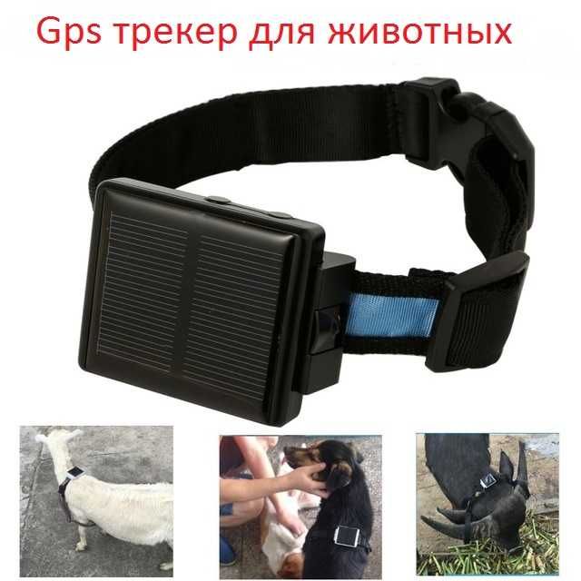 Gps трекер насолнечной батарее для лошади животных охрана отслеживание