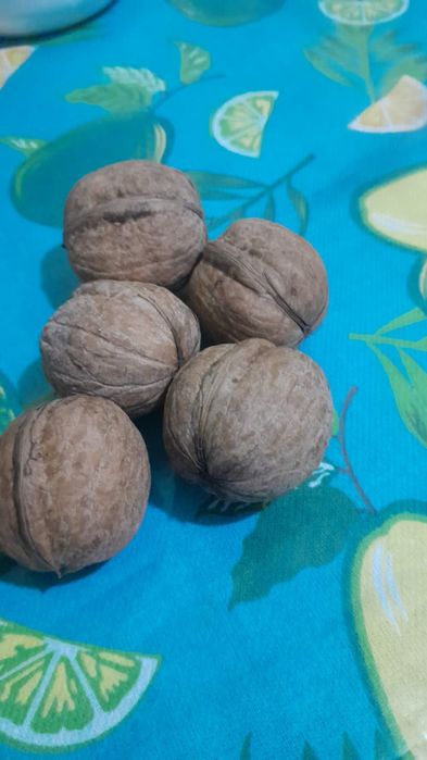 Продам грецкие орехи, этого года.