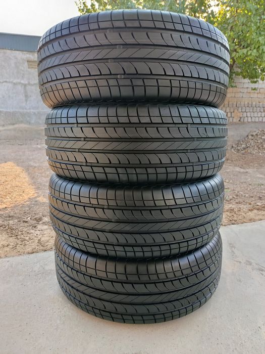 Trekir Radnoy shina Bars