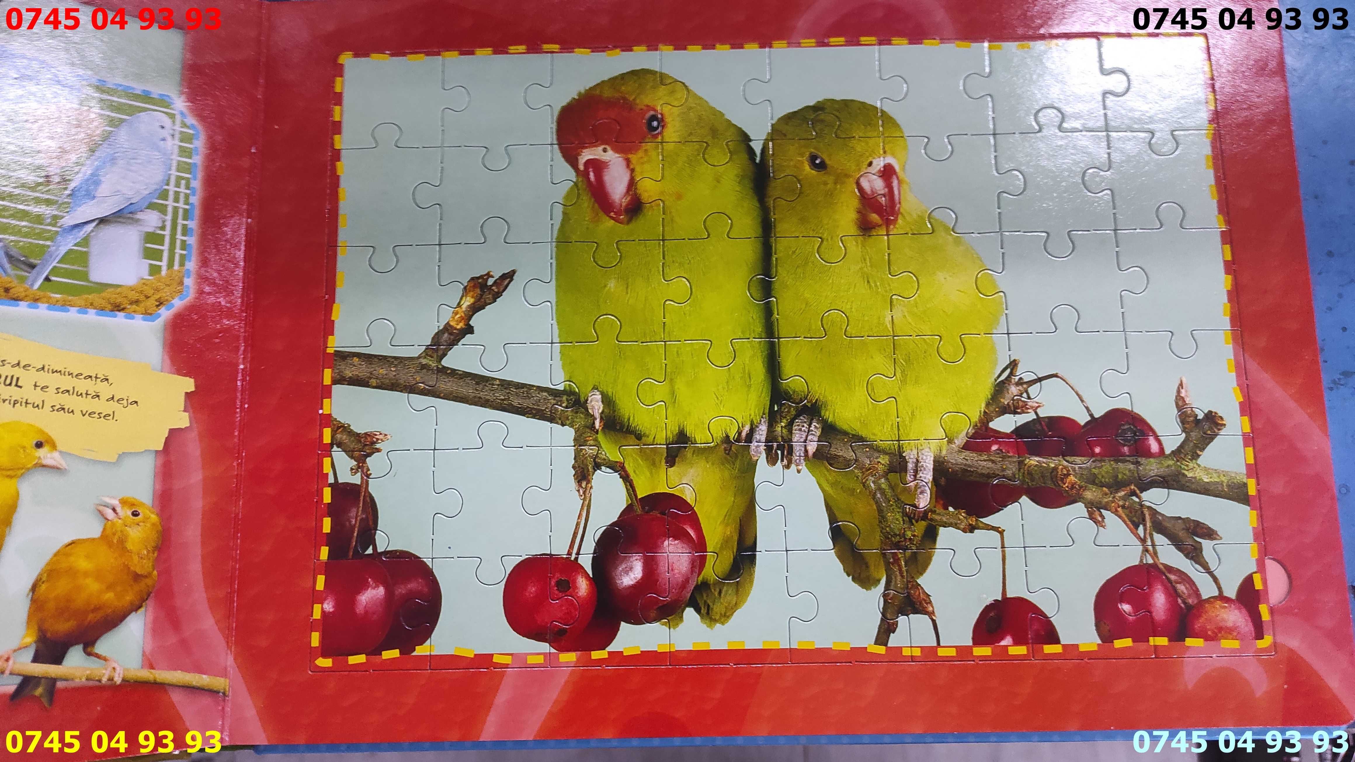 carti carte puzzle 5 puzzle arata foarte bine