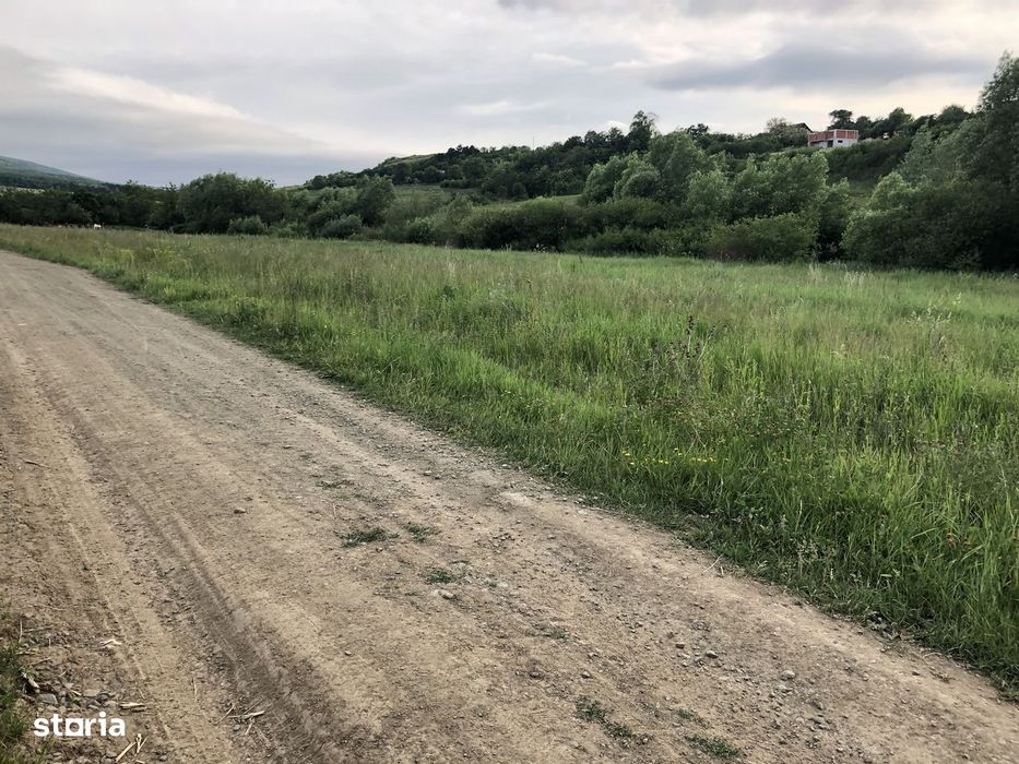 PRET AVANTAJOS !!!Teren intravilan in Ortelec