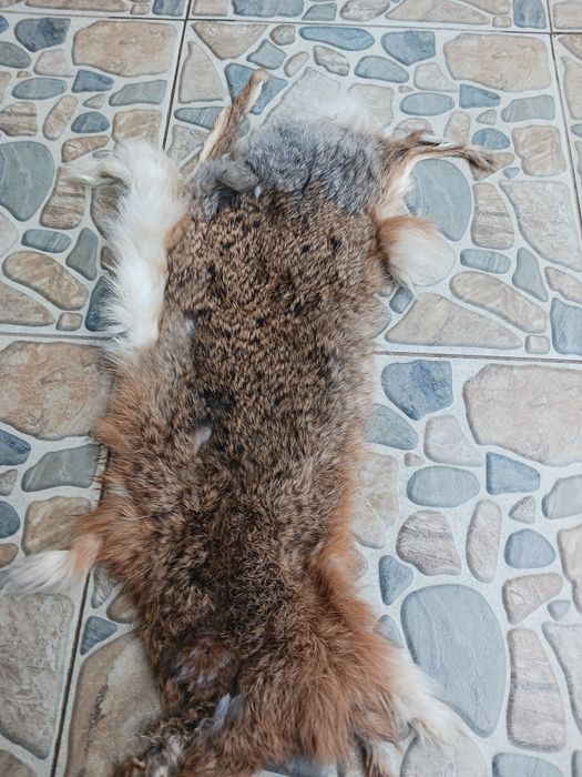 Красиви изделия от кост и кожа от див  заек