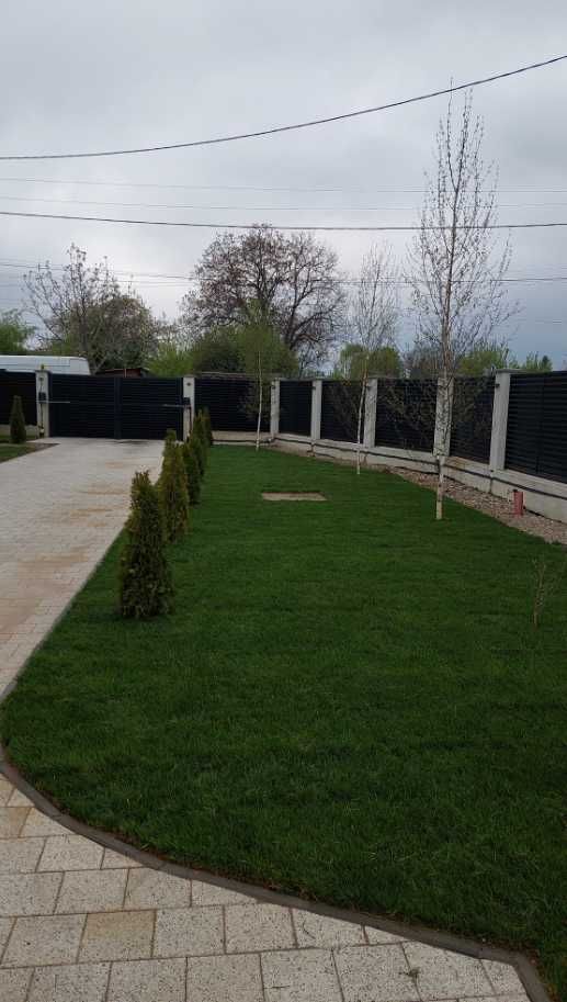 Gazon Rulou pentru Peluze Perfecte Tot Anul