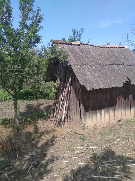 Magazie de lemne, baraca, adapost