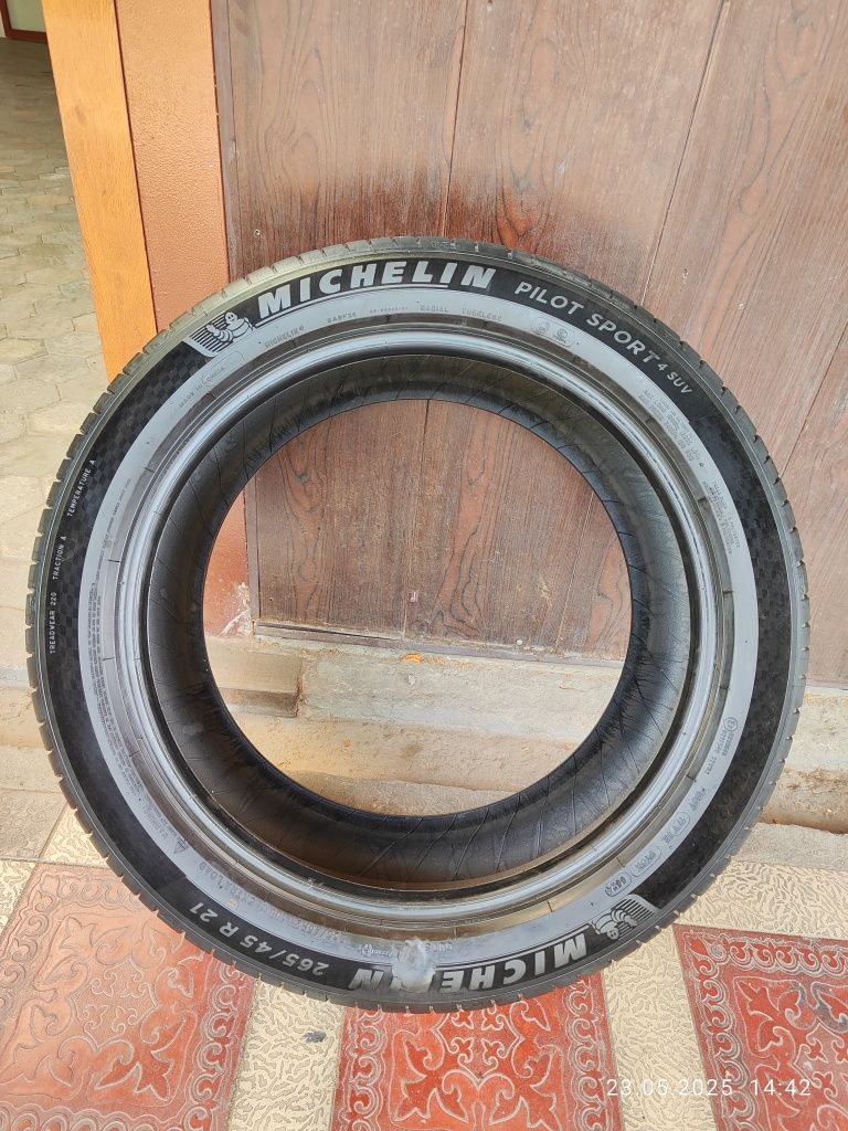 265/45/21 Michlin Li9