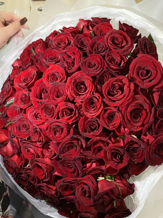 Цветы красные розы