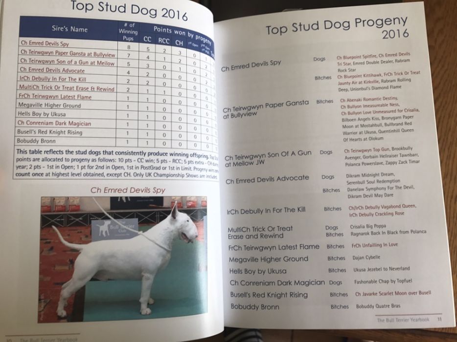 Colectie anuare Bull Terrier