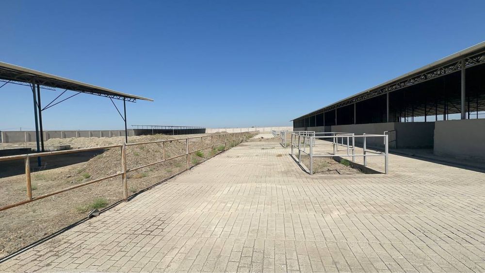 Продается новый Ферма в Бухаре