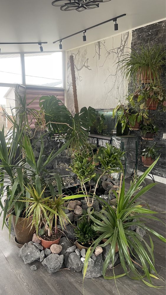 Продается дом в Косшы, 405 кв.м