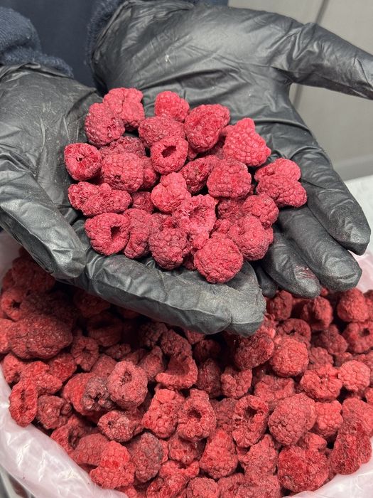 Малина сублимированная malina сублимат ягода