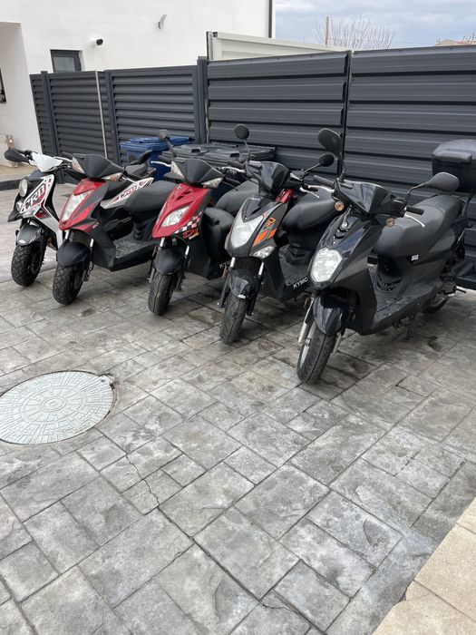 Scuter cu permis si fara permis