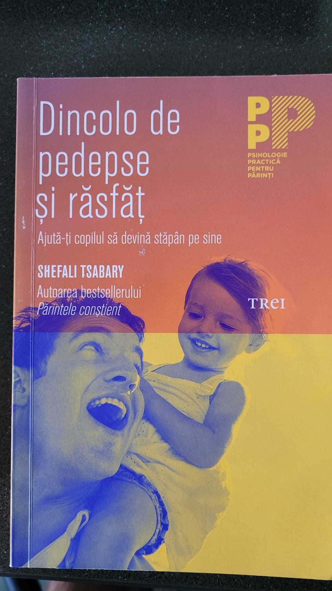 Despre Copilar., Ce  spunem copiilor, Dincolo de pedeapsa si rasfat,