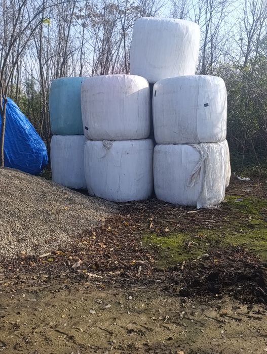 Baloți de porumb infoliati