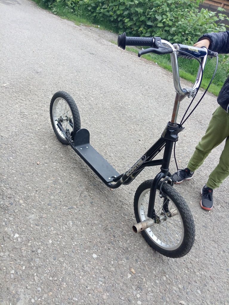 Trotineta (scooter)