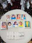 Set World Cup Story, Panini