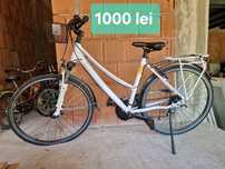 Vand Biciclete Adulți și Copii