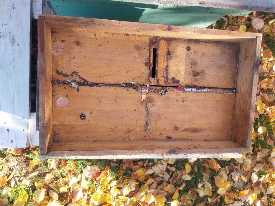 нуклеус пчелен кошер