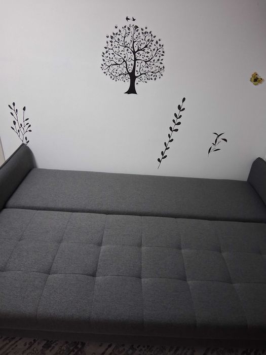 Canapea extensibilă