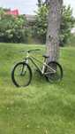 Dirtjumper drag c1