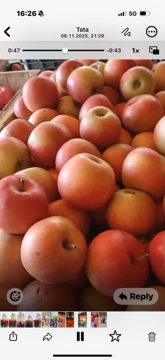 Mere de calitate superioara