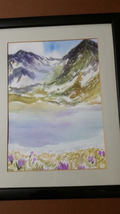 Пейзаж от Швейцария. В черна рамка със стъкло отпред. Има и паспарту.