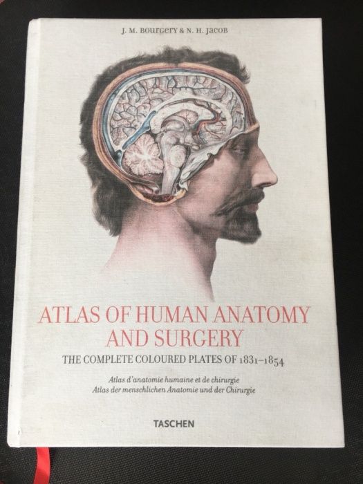 Atlas of Human Anatomy and Surgery / Medicina / Anatomie / Chirurgie