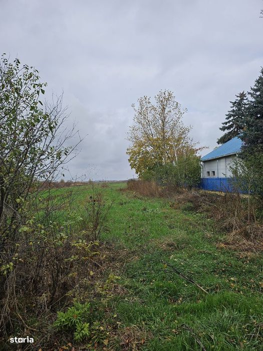 Butimanu Jud. Dambovita, teren intravilan si extravilan