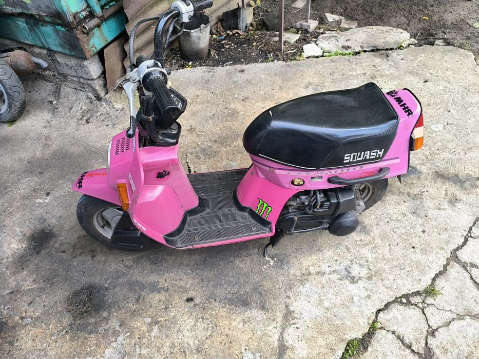 Honda Squash  50