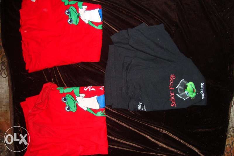 Три оригинлни t-shirt--на Бар -Senior Frogs: