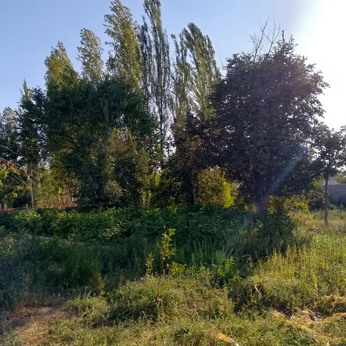 Юкори Чирчик туманида ер участками сотилади