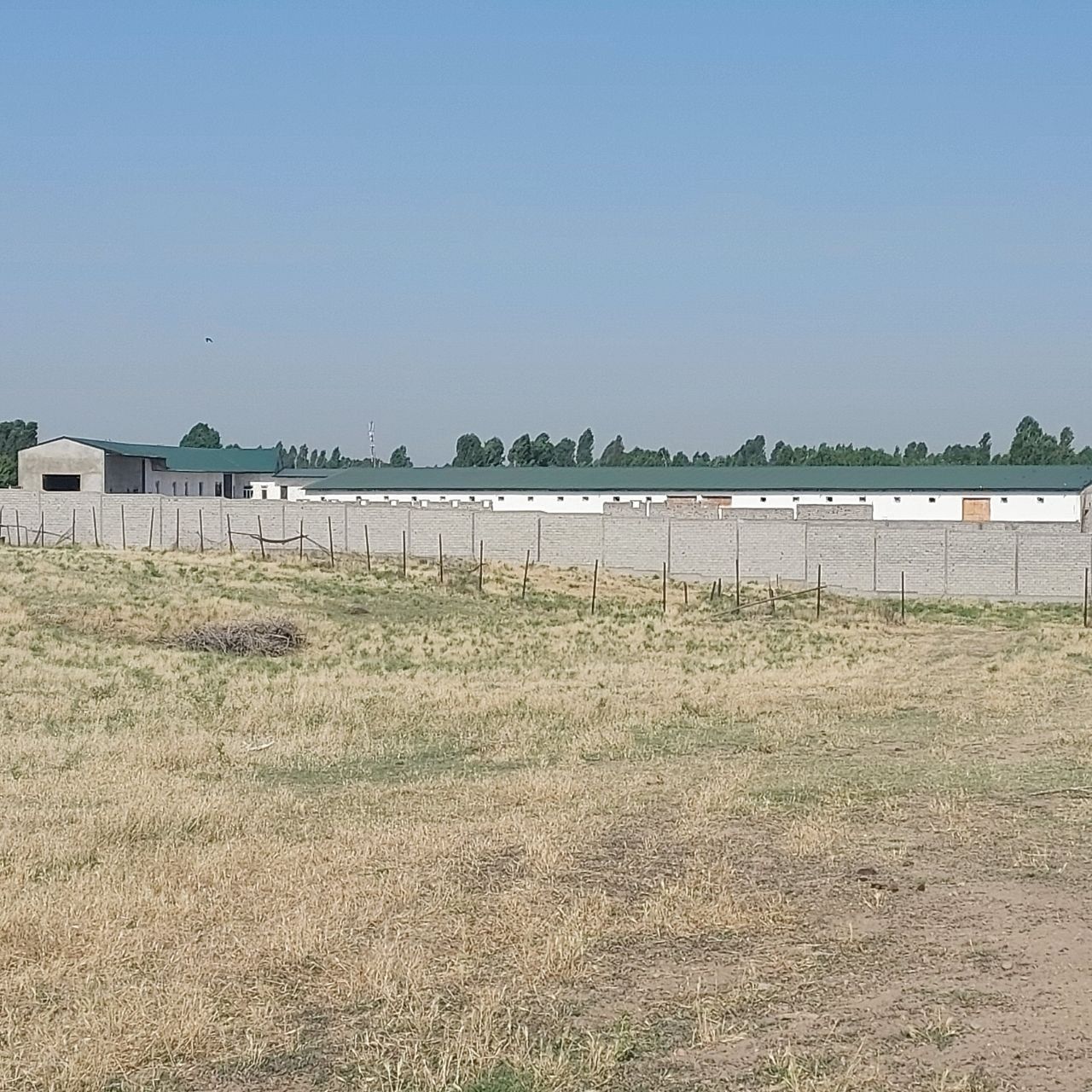 Готовая птица ферма с площадью 1,27 га