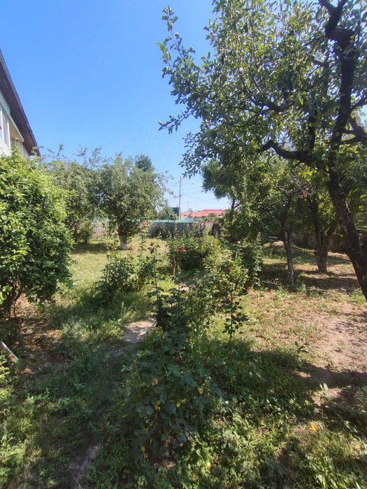 Vand bloc si teren pentru dezvoltatori imobiliari