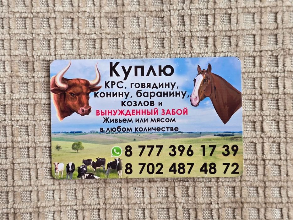 Лошадей Лошадей крс