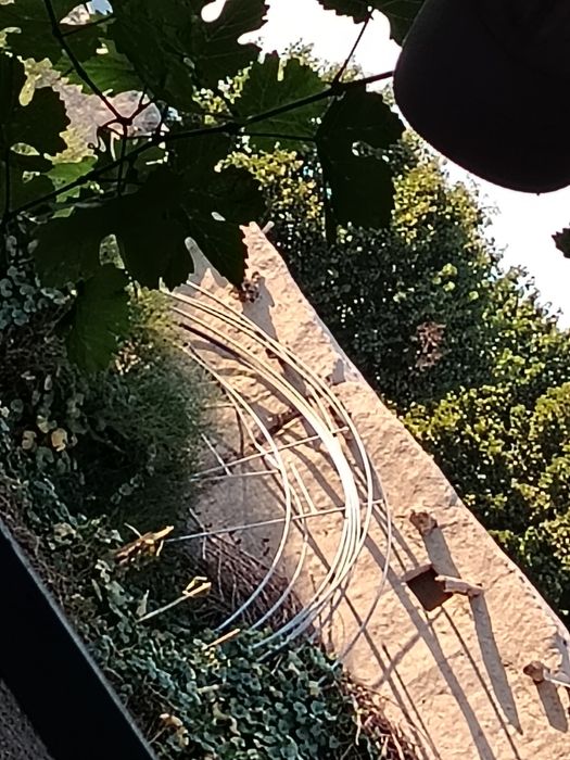 Parnik turbalari sotiladi