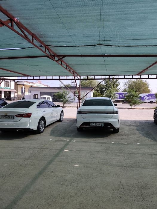 Byd Chazor Sotiladi