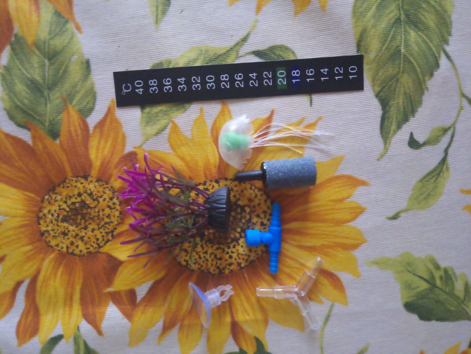 Аксесоари за аквариум (термометър, лакмусова хартия, камъче за въздух)