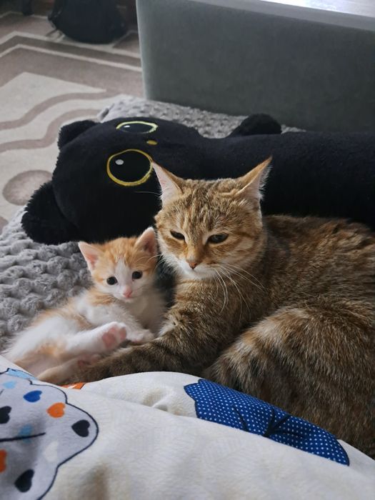 Мальчик в добрые и заботливые руки