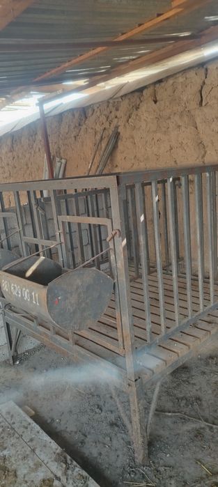 Кой она йегиладиган