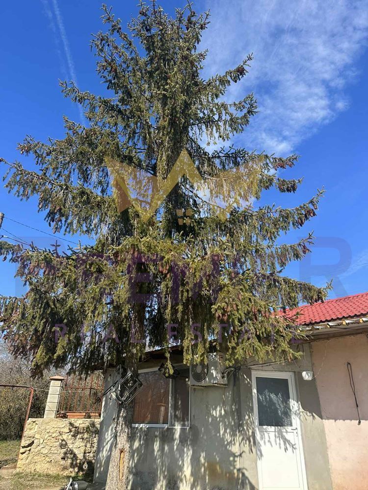 Продава се Къща в с. Засмяно, Област Варна - 100 кв.м за 350 €/кв.м - Снимка #8