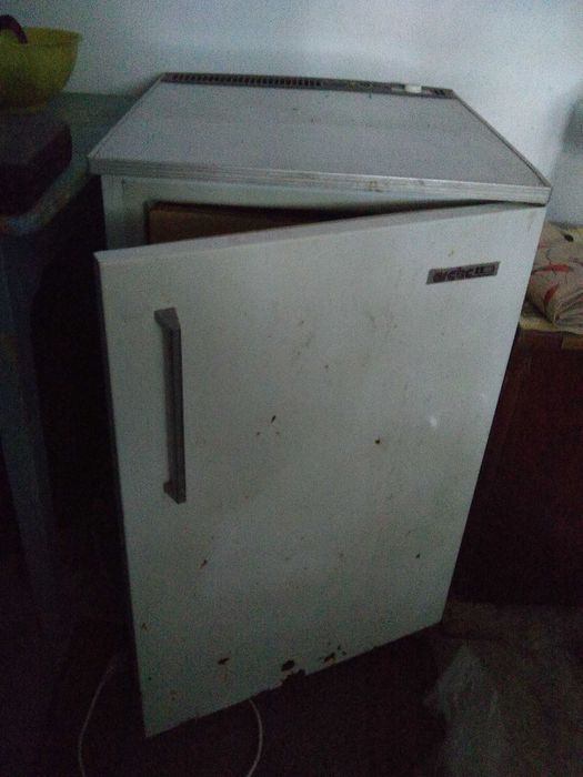 congelator arctic