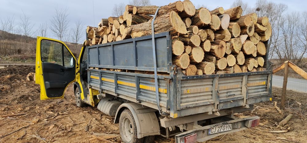 Lemne pentru foc avem si uscate