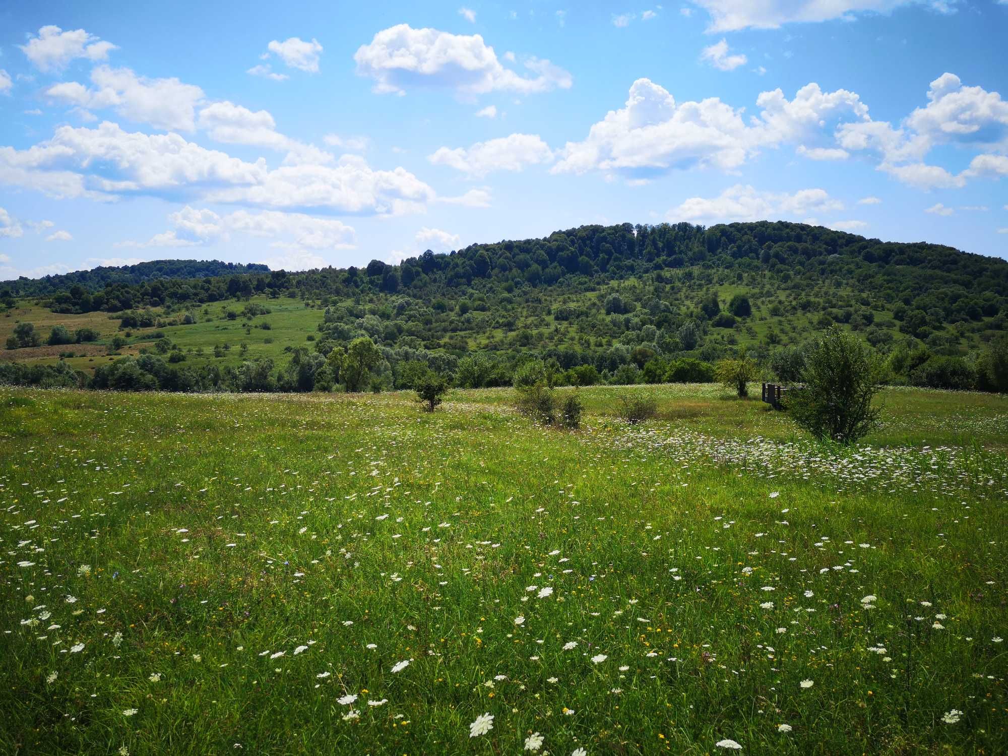 Teren de vanzare, ideal pt infiintare parc fotovoltaic