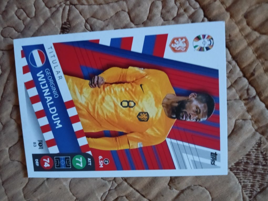 Iniesta cartonas euro 2024, Lidl