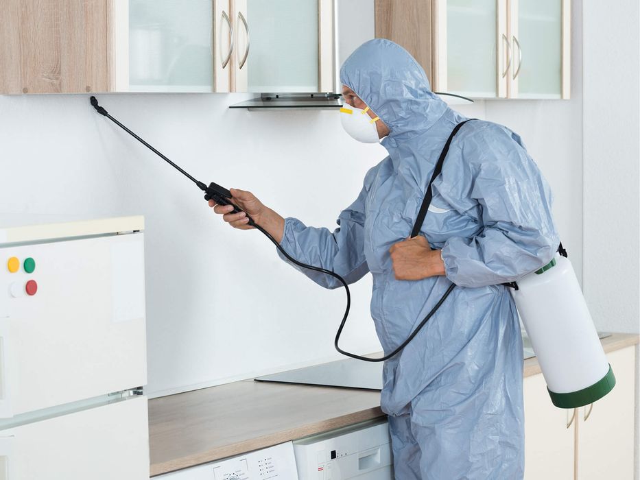 Дезинфекция уничтожение клопов, тараканов, блох, мышей, вирусов