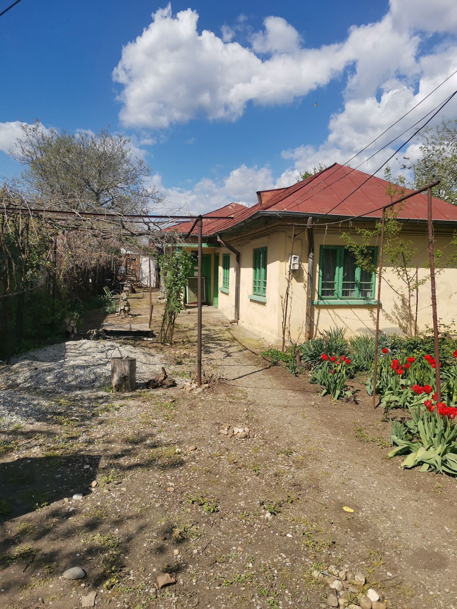 Vand casa in Caracal