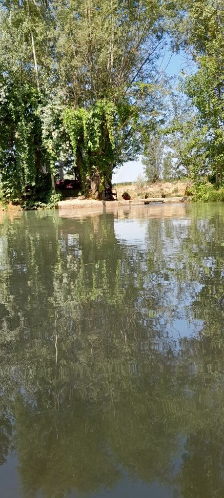 Dam olishga tapchan ijaraga beriladi