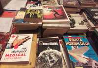 Lot 100 de cărţi literatură clasică română şi străină