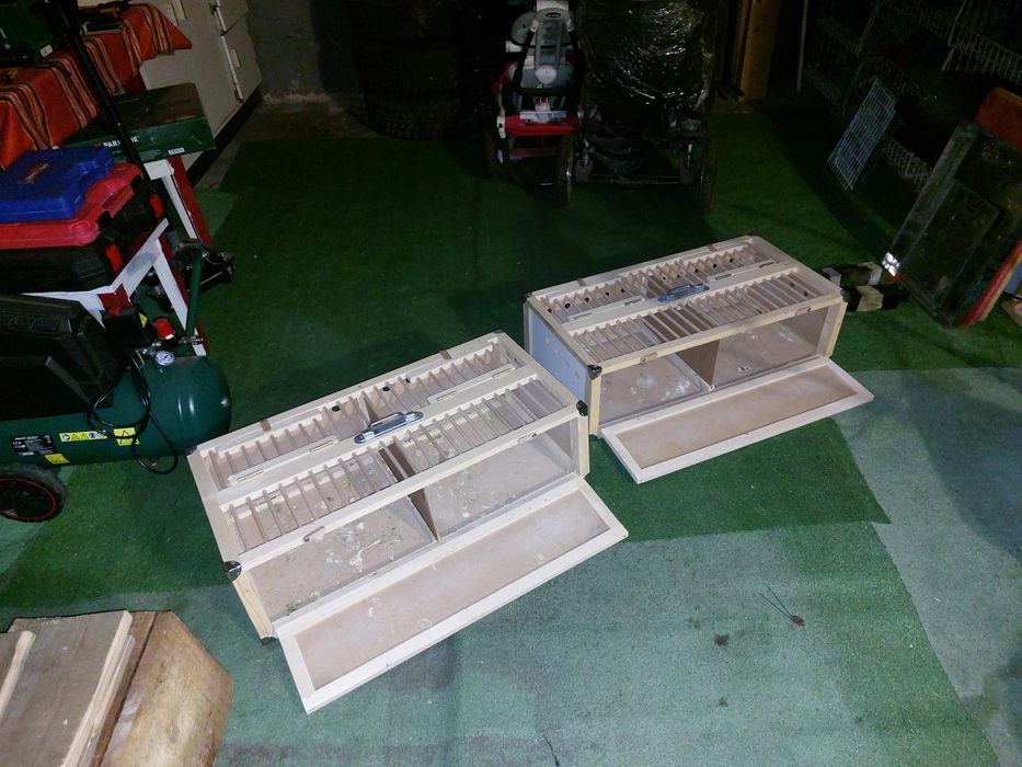 Lazi transport porumbei!